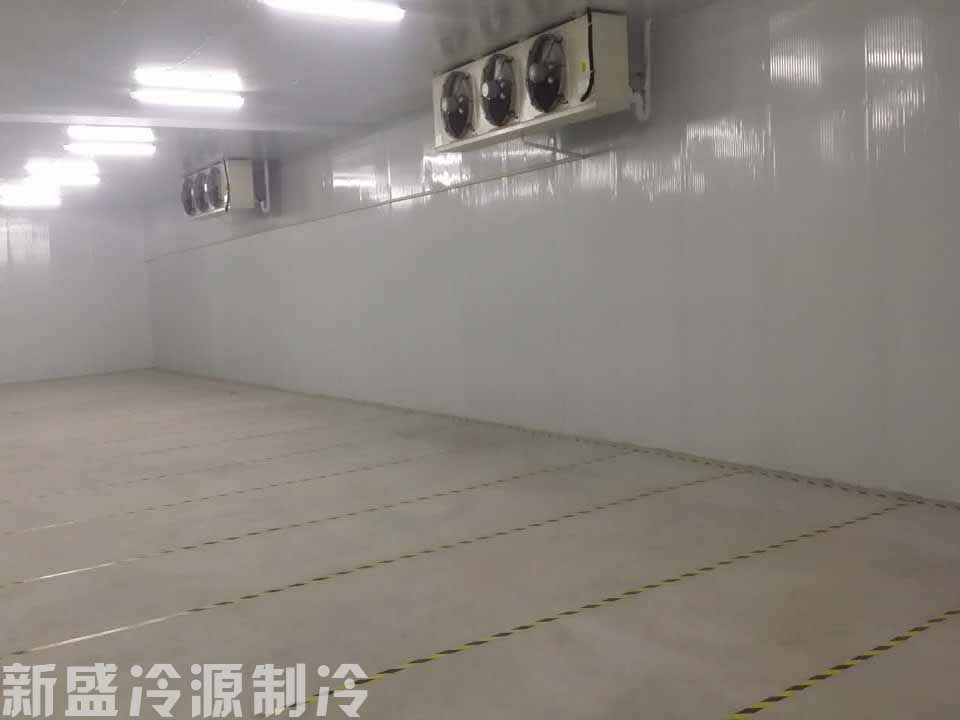 喜之郎冷庫建造案例